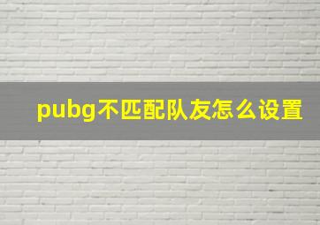 pubg不匹配队友怎么设置