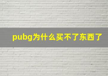 pubg为什么买不了东西了