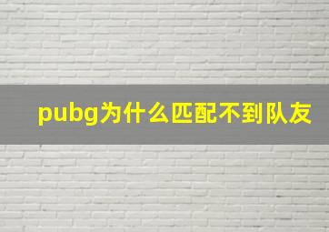 pubg为什么匹配不到队友