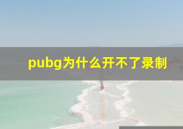 pubg为什么开不了录制