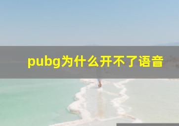 pubg为什么开不了语音