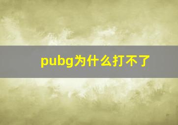 pubg为什么打不了