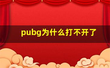 pubg为什么打不开了