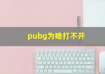 pubg为啥打不开