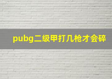 pubg二级甲打几枪才会碎