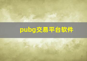 pubg交易平台软件