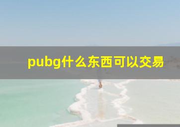 pubg什么东西可以交易