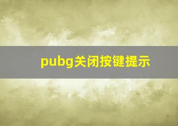 pubg关闭按键提示