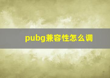 pubg兼容性怎么调