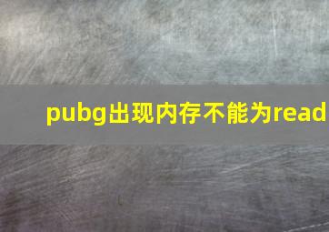 pubg出现内存不能为read