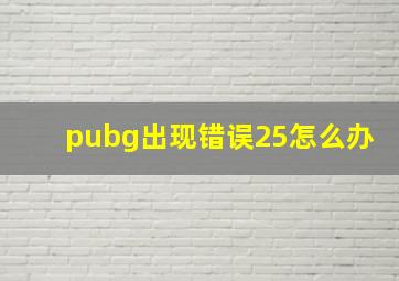 pubg出现错误25怎么办