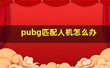 pubg匹配人机怎么办