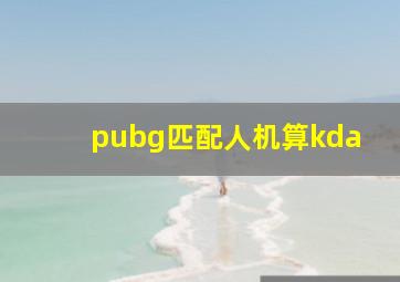 pubg匹配人机算kda