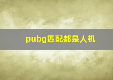 pubg匹配都是人机