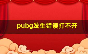 pubg发生错误打不开