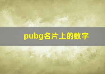 pubg名片上的数字