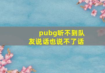 pubg听不到队友说话也说不了话