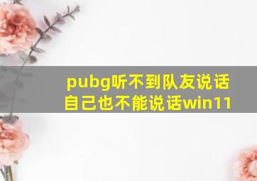 pubg听不到队友说话自己也不能说话win11