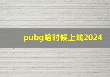 pubg啥时候上线2024