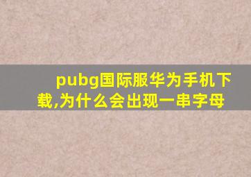 pubg国际服华为手机下载,为什么会出现一串字母