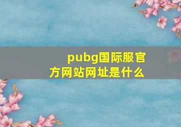 pubg国际服官方网站网址是什么