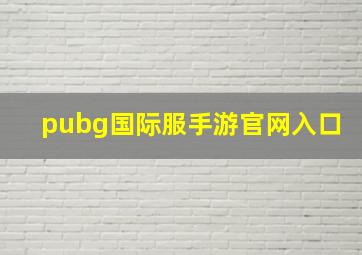 pubg国际服手游官网入口