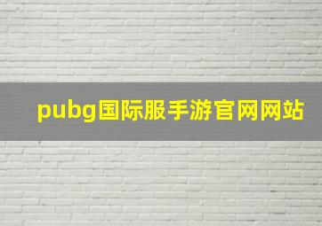 pubg国际服手游官网网站