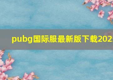 pubg国际服最新版下载2025