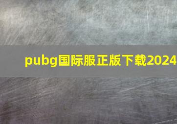 pubg国际服正版下载2024