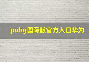 pubg国际版官方入口华为