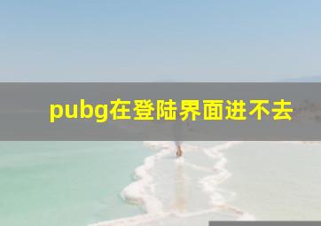 pubg在登陆界面进不去