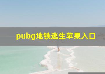 pubg地铁逃生苹果入口