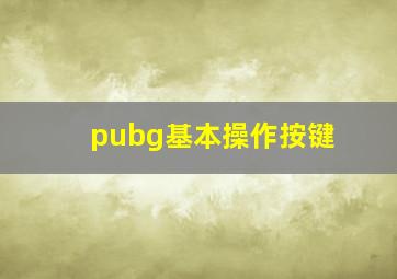 pubg基本操作按键