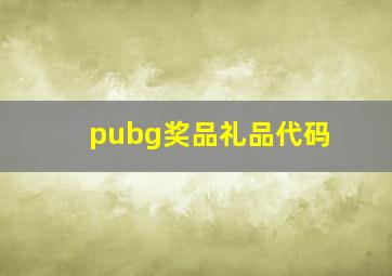 pubg奖品礼品代码