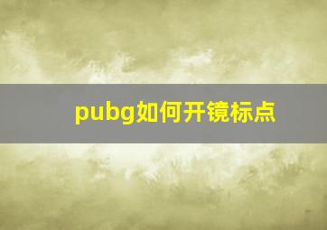 pubg如何开镜标点