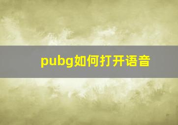 pubg如何打开语音