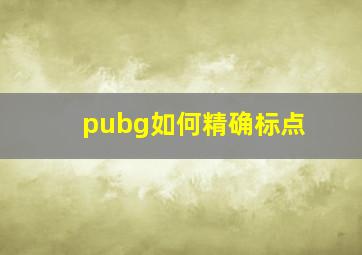 pubg如何精确标点