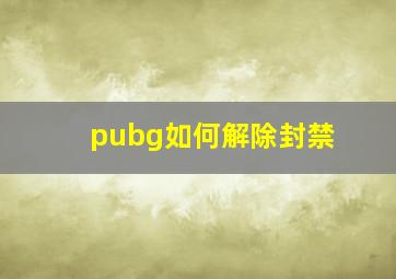 pubg如何解除封禁