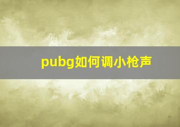 pubg如何调小枪声