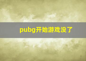 pubg开始游戏没了