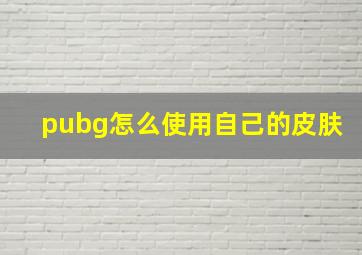 pubg怎么使用自己的皮肤