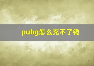 pubg怎么充不了钱