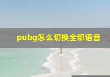 pubg怎么切换全部语音