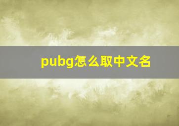 pubg怎么取中文名