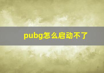 pubg怎么启动不了