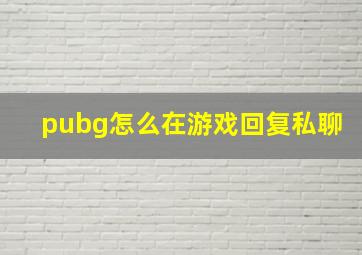 pubg怎么在游戏回复私聊