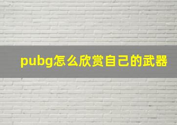 pubg怎么欣赏自己的武器