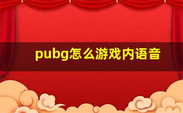 pubg怎么游戏内语音