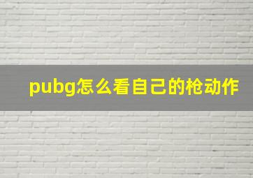 pubg怎么看自己的枪动作