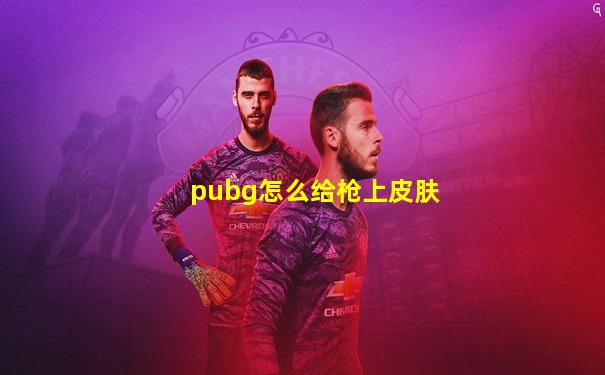 pubg怎么给枪上皮肤